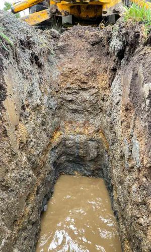 Ingeniería sanitaria